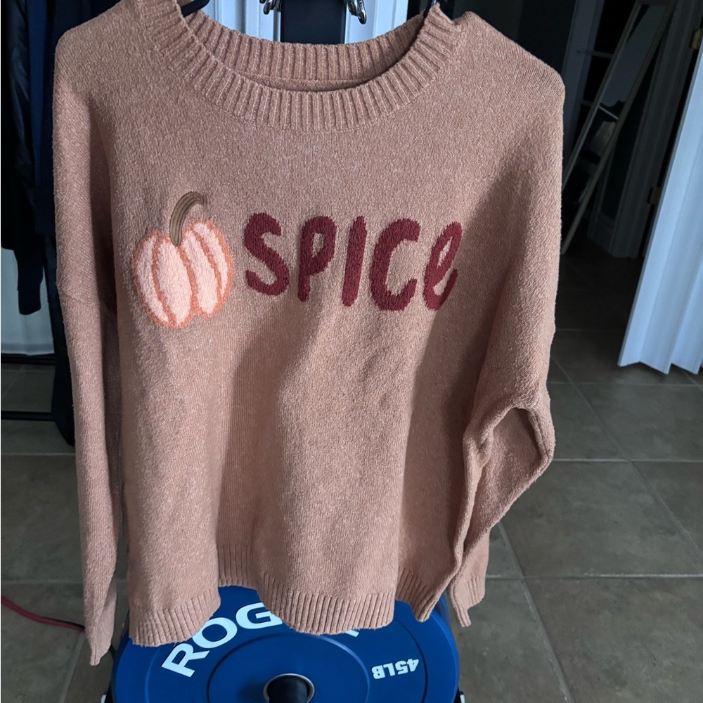 LOFT Spice Graphic Sweater - Tan